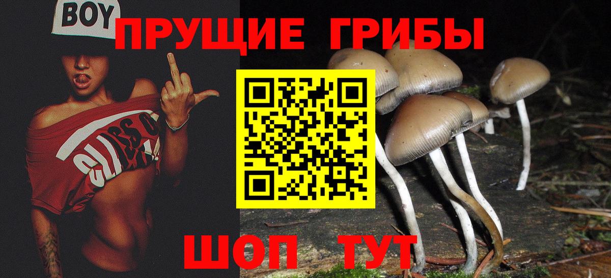 Всеволожск  закладки  Вход с VPN  Галлюциногенные грибы прущие грибы 